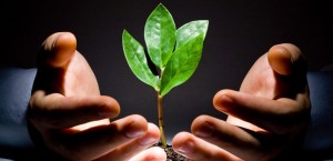 Resumo de Direito Ambiental para 1ª Fase OAB