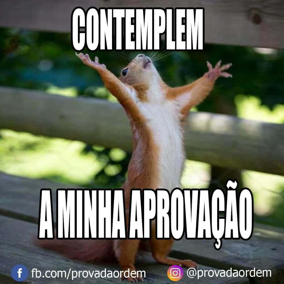 Contemplem minha Aprovação no Exame de Ordem - Lista Aprovados na 2ª Fase XX Exame